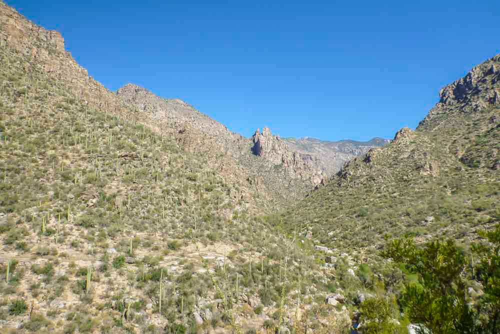 Sabino Canyon Arizona And Beyond   Sabino Canyon 003 